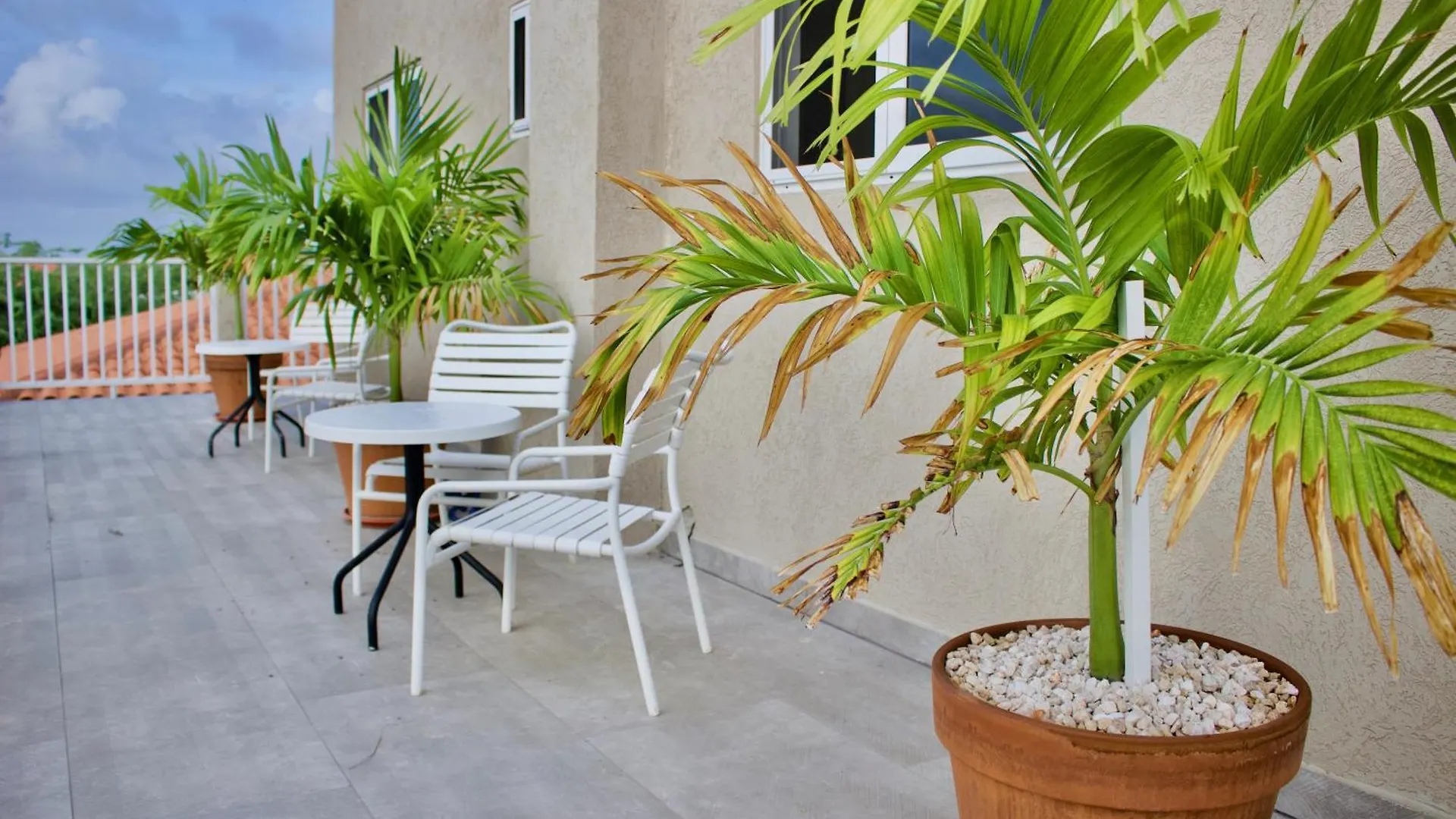 1-Bed Self Contained Apartment In Noord With Pool