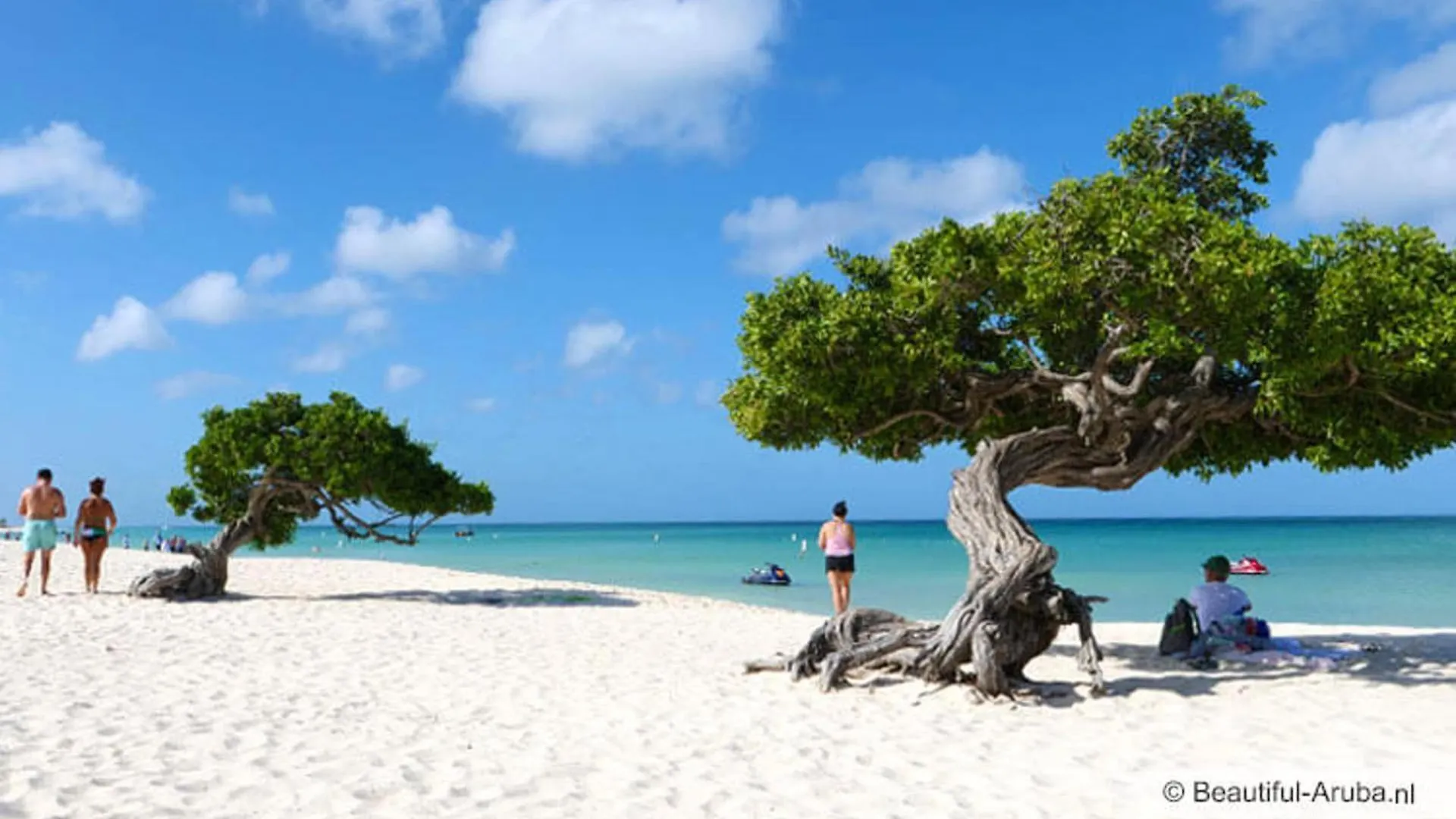 1-Bed Self Contained Apartment In Noord With Pool 0*,  Aruba