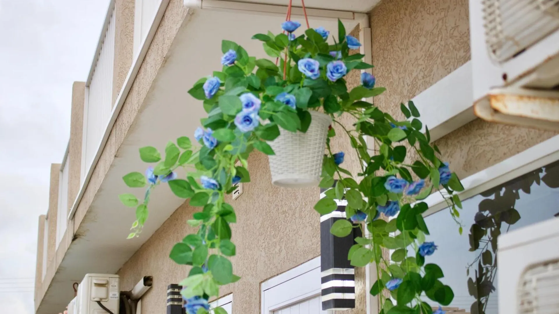 1-Bed Self Contained Apartment In Noord With Pool Aruba